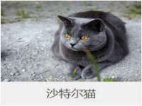 淮安风之帆网络科技有限公司