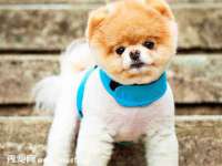 淮安风之帆网络科技有限公司