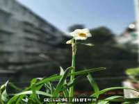 淮安风之帆网络科技有限公司