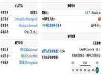 淮安风之帆网络科技有限公司