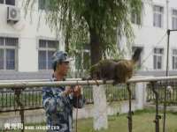 淮安风之帆网络科技有限公司
